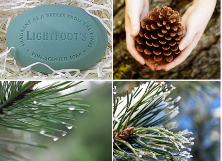 Pine Soap