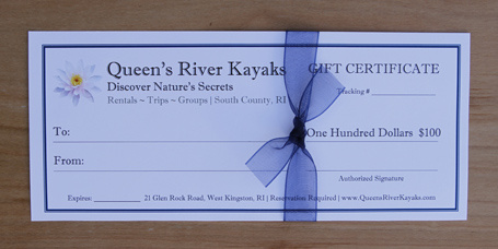 $100 Gift Certificate - Queen's River Kayaks